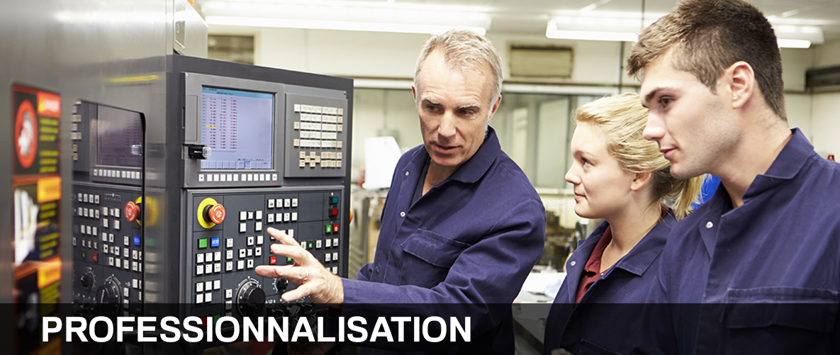 Alternance Professionnalisation